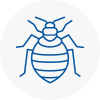 Bed Bug Extermination In Hambleton