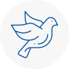 Bird Prevention Hambleton
