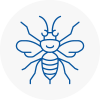 Hambleton Hornet Nest Removals