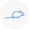 Mice Exterminators In Hambleton