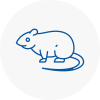 Rat Control Hambleton