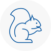 Hambleton Rodent Removals